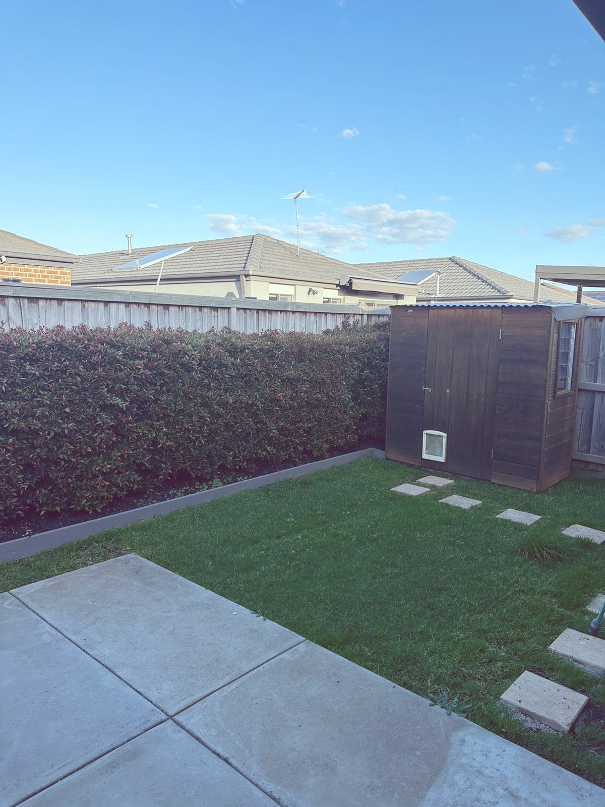 A picture of a back garden of an SIL house. There is a small square of grass, a wooden shed with a vat flap and some stepping stones on the grass.