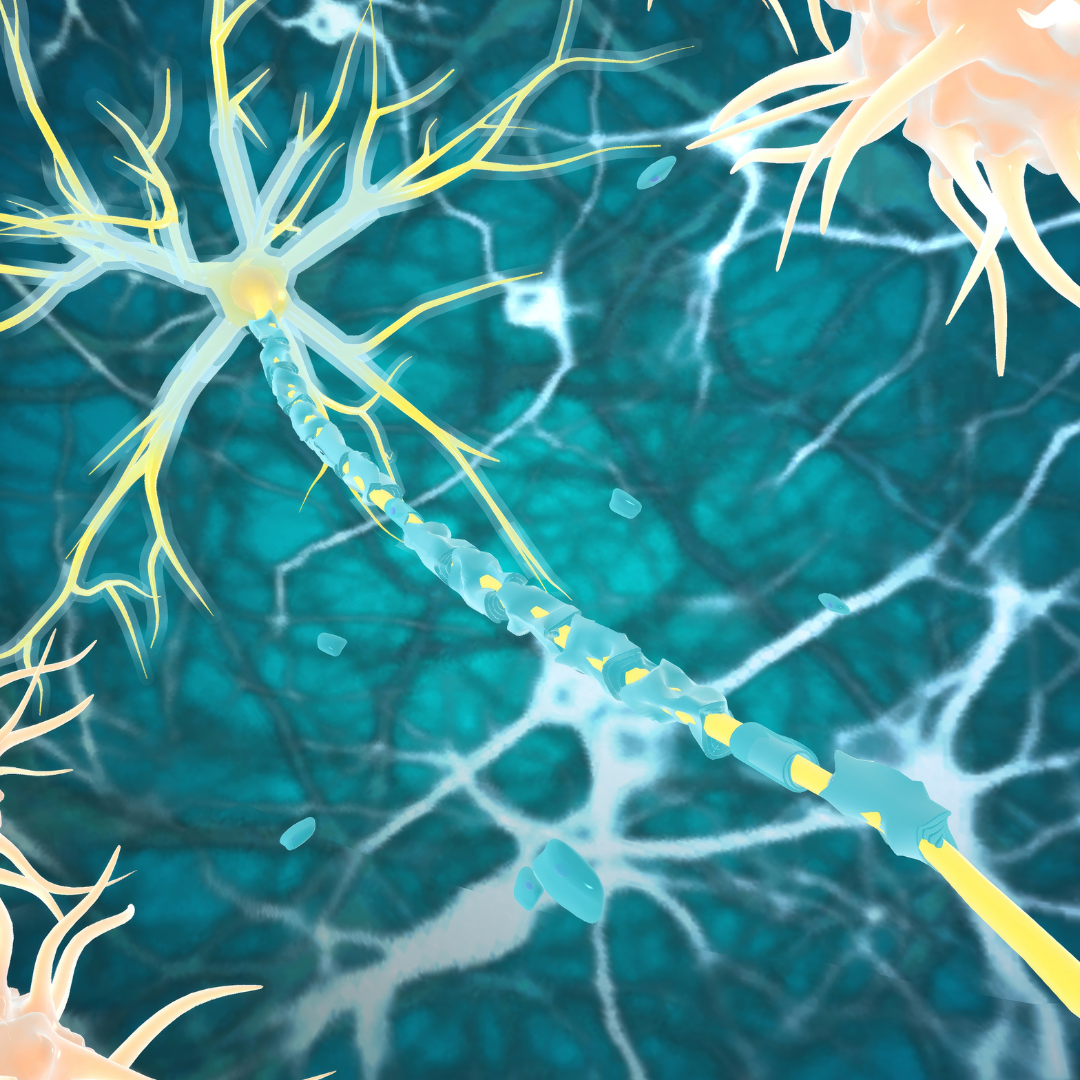 An Illustration of the neurological connections in the brain.